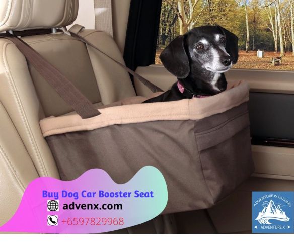 Buy Dog Car Booster Seat